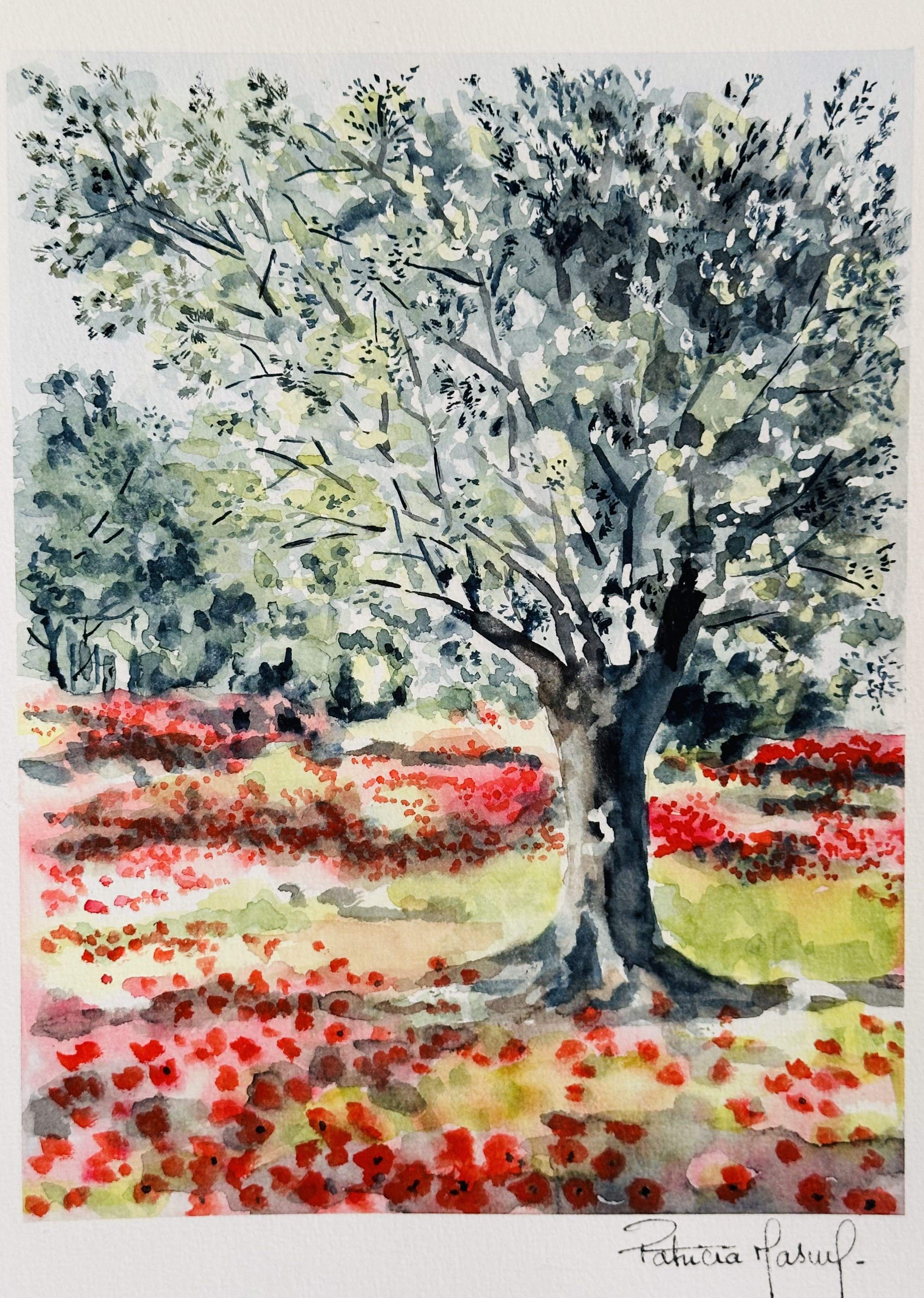 image de la peinture OLIVIER ET COQUELICOTS